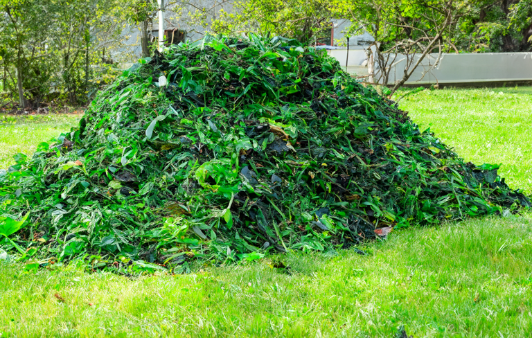 Navigating Green Waste Rubbish Removal for a Greener Tomorrow